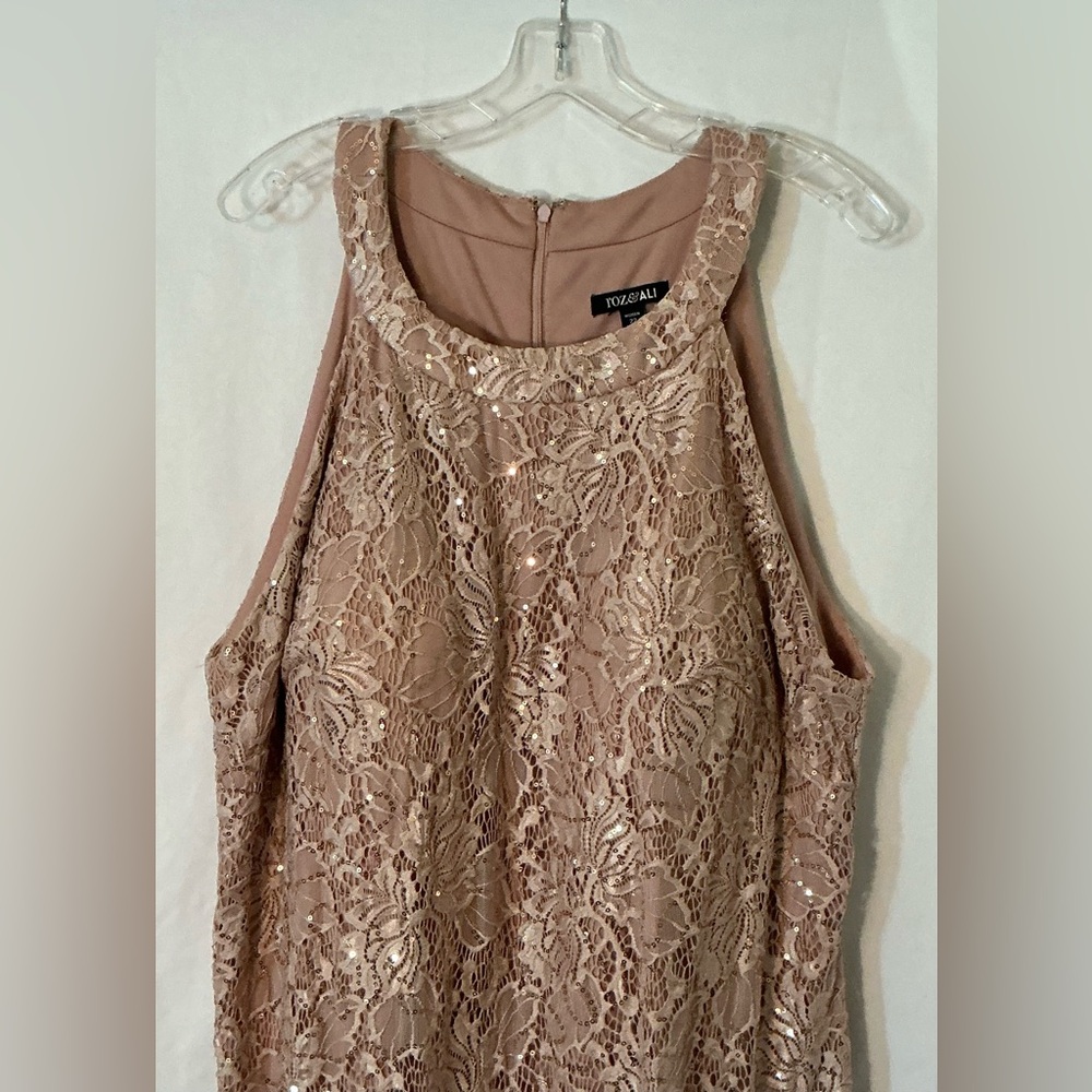 Roz & Ali Blush Lace Sequin Midi Dress - Picture 3 of 8